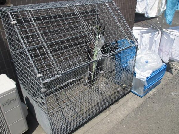 共有部分(★お部屋探しは株式会社タウンハウジング東京まで★)