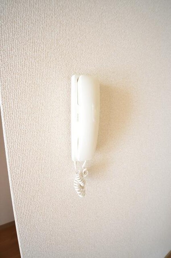 セキュリティ(☆来訪者をドアを開けずに確認☆)