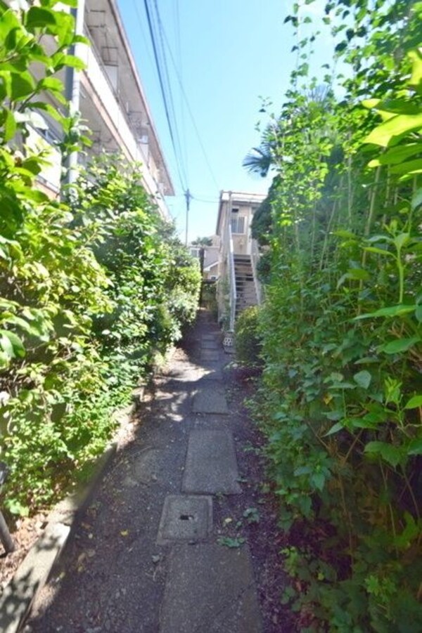 エントランス(★グリーンカーテンがきれいですね★)