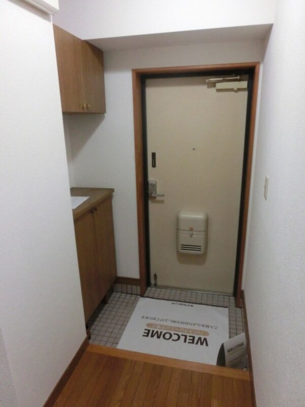 玄関(同建物同タイプ住戸参考写真です)