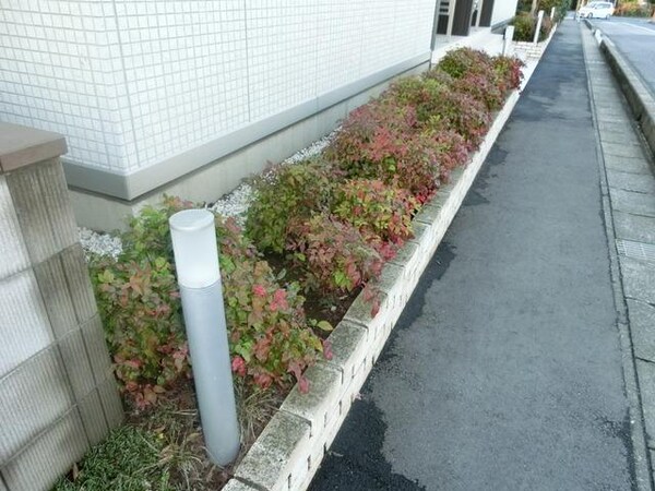 庭(キチンと整備された植栽)
