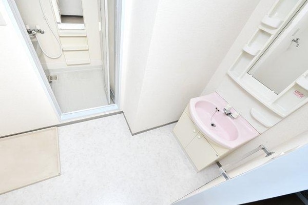 洗面(※同建物　同タイプ間取り　施工イメージです　現況優先)