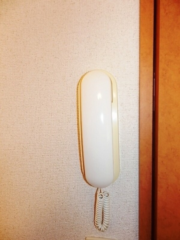 セキュリティ(インターホン完備)