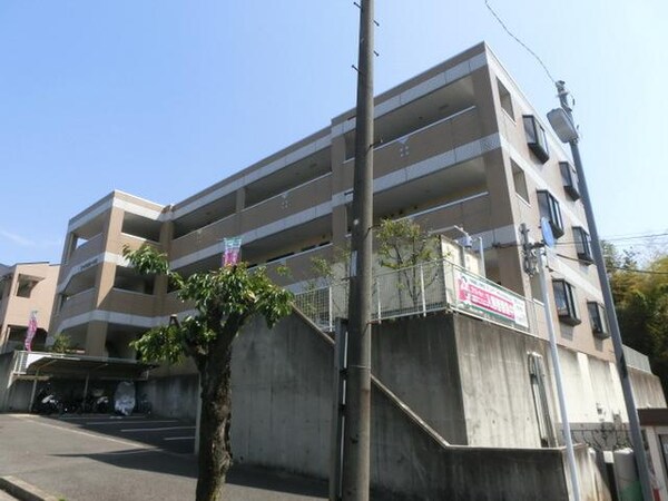 外観(外観)