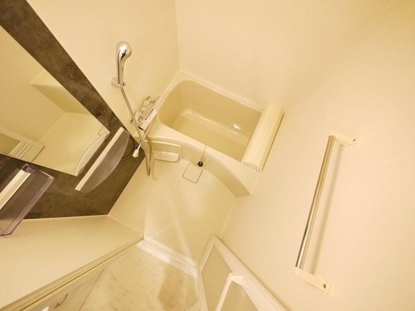 バス／シャワールーム等(反転タイプです)