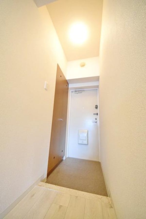 玄関(シューズボックス付き玄関)