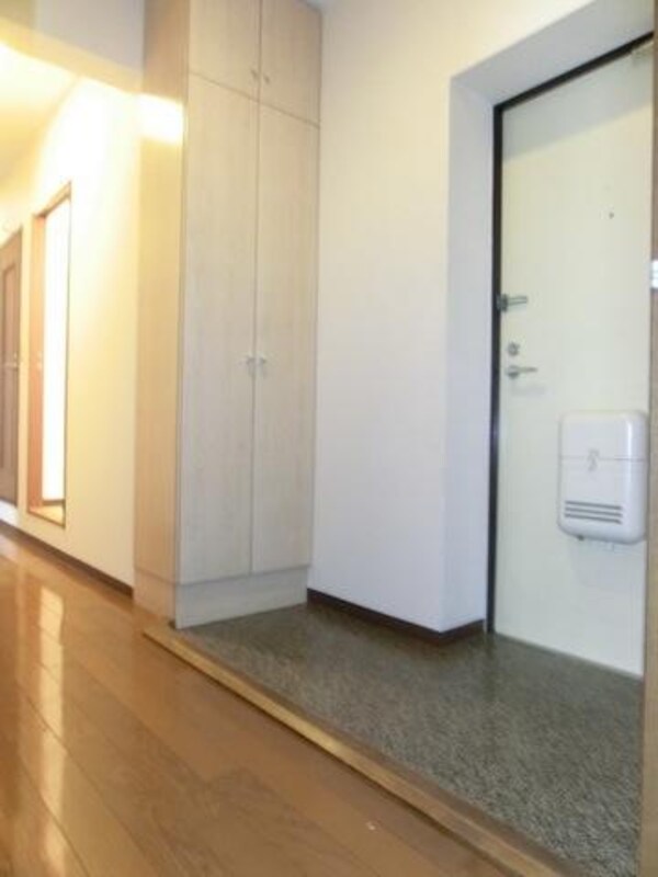 玄関(トールタイプの下駄箱付き)