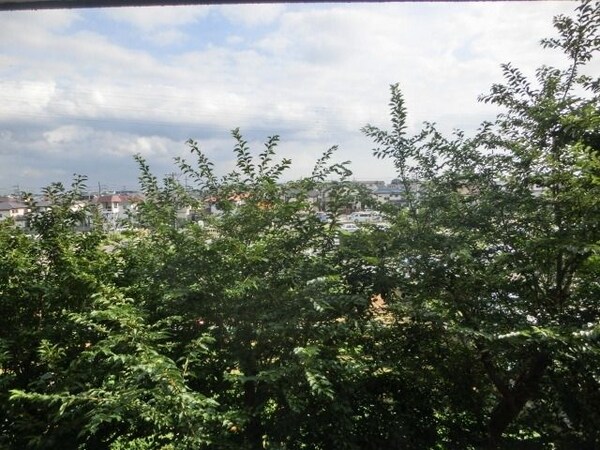 眺望(バルコニーからの景色です)