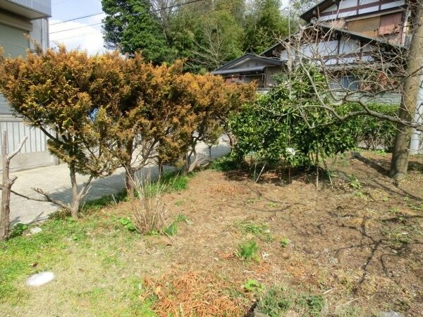 その他(敷地にもゆとりがあります)