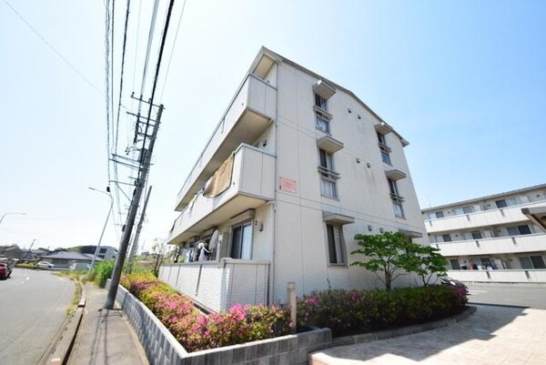 外観(外観)
