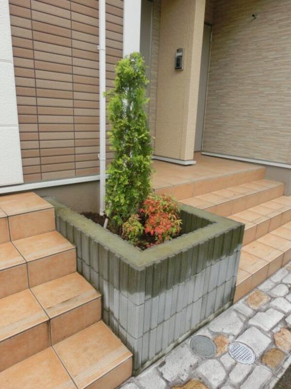 庭(整備された植栽)