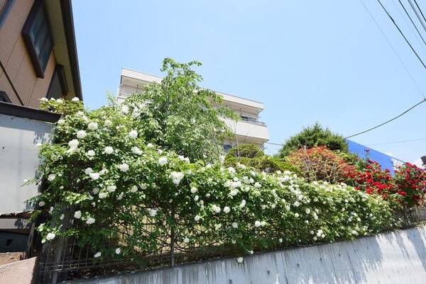 外観(1階がオーナー居室で。これから一人暮らしを始める方にも安心…)