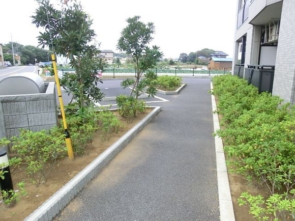 庭