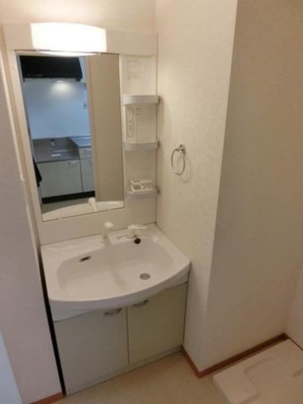 洗面(朝の支度に嬉しいシャワー付洗面所)