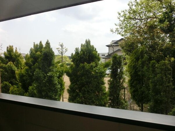 眺望(同タイプ)
