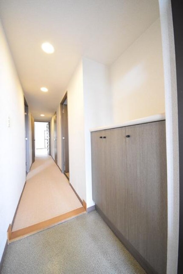 玄関(※同タイプ間取りの設備施工例　現在リフォーム中です)