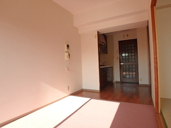 リビング・居室(※同建物　別タイプ間取りの設備施工例　現況優先)