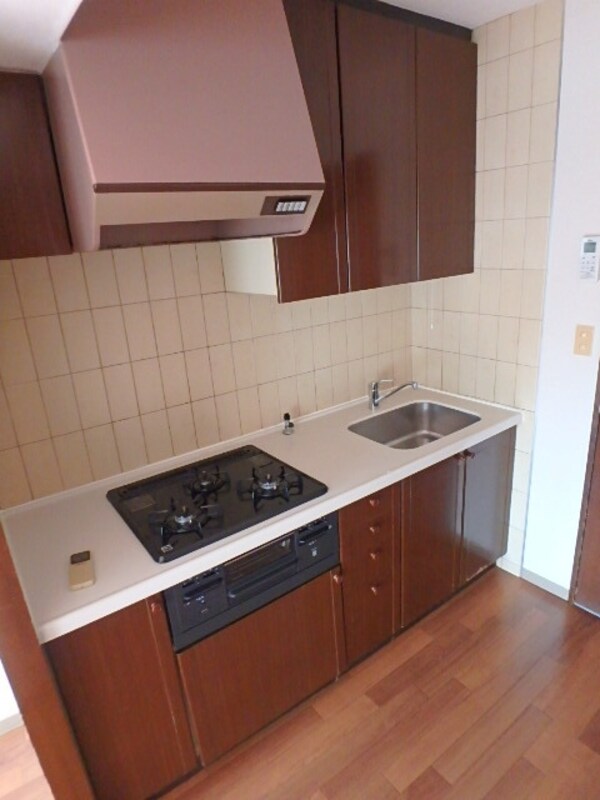 キッチン(※同建物　別タイプ間取りの設備施工例　現況優先)