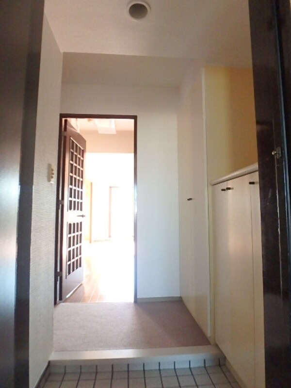 玄関(※同建物　別タイプ間取りの設備施工例　現況優先)