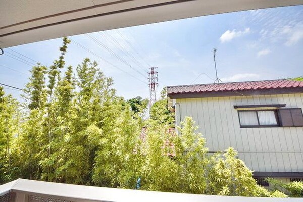 眺望(バルコニーからの景色です)