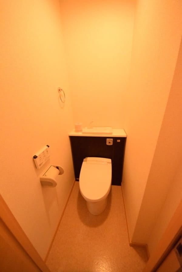 トイレ(綺麗なトイレです)