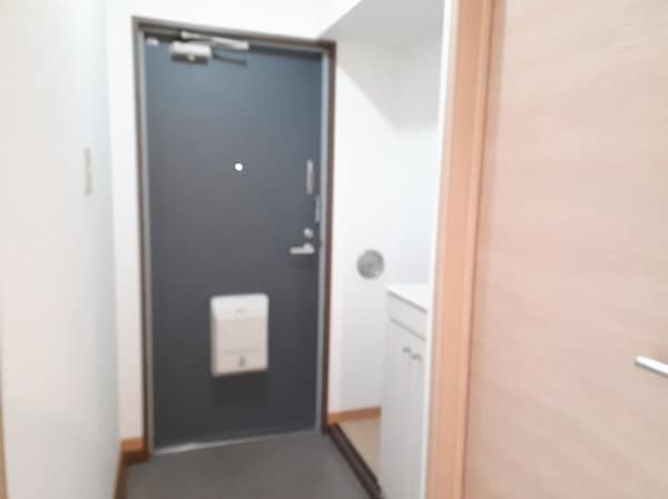玄関(※別部屋イメージ)