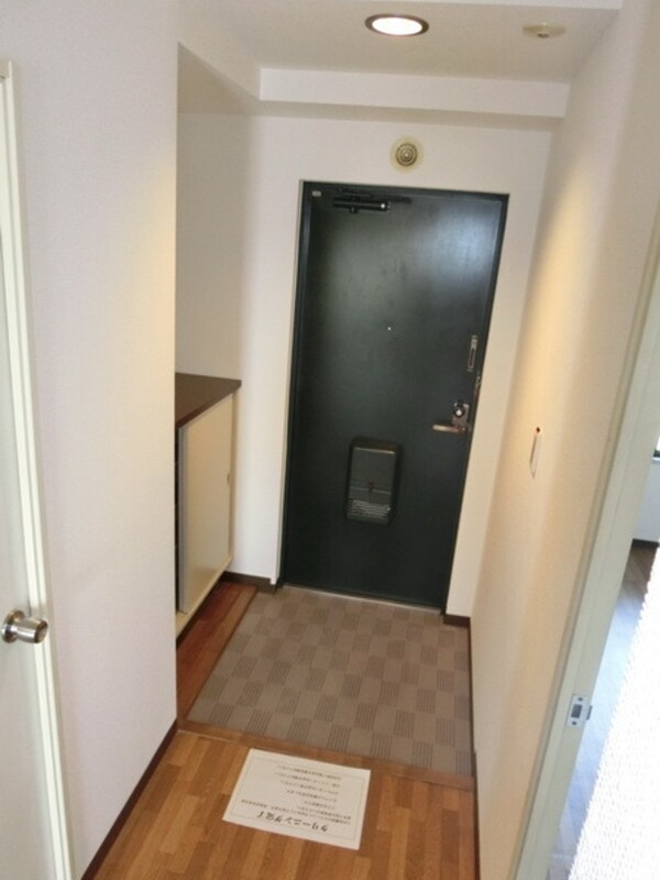 玄関(※同建物　同タイプ間取り設備施工例　現況優先)