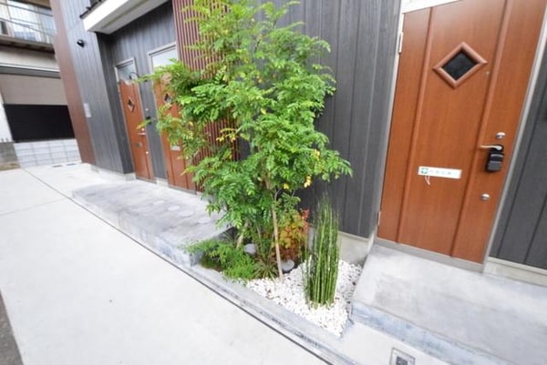 庭(植栽です)