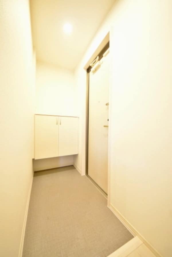 玄関(イメージ。別号室の室内写真。現況を優先します。)