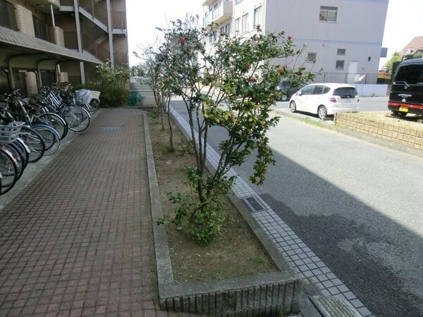 庭