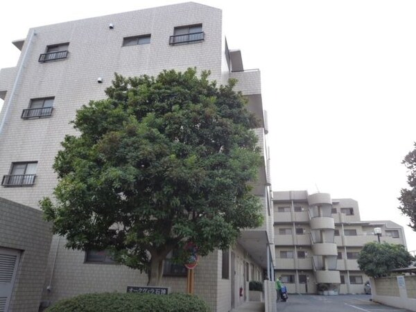 外観(外観まわり)