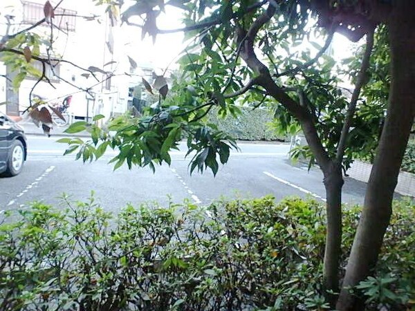眺望(室内・室内設備)