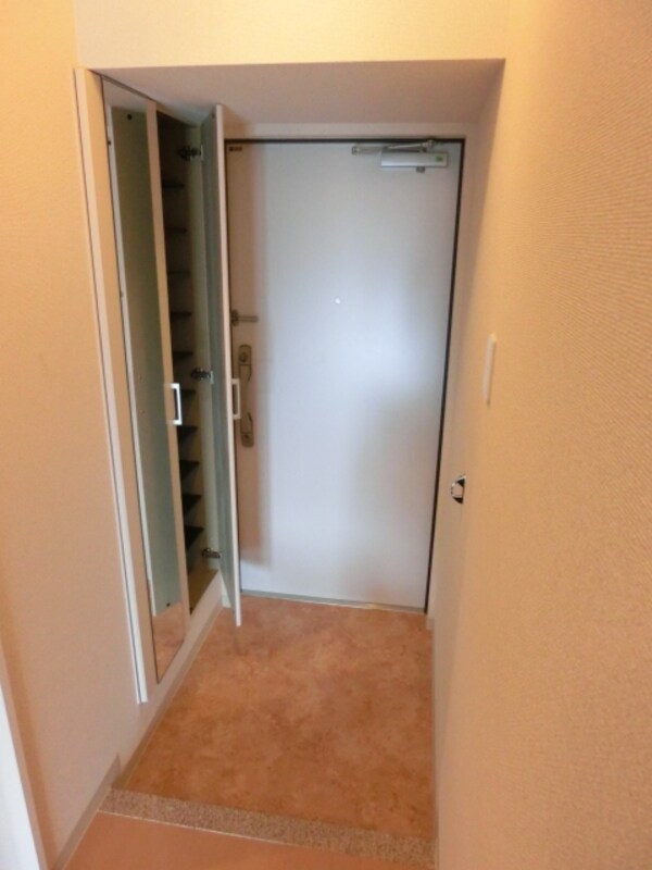 玄関(トールタイプのシューズボックス・姿見付き玄関)