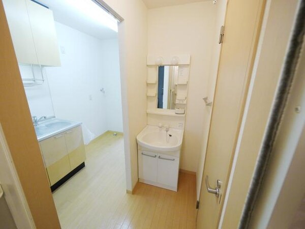 洗面(同物件　違う部屋　参考写真)