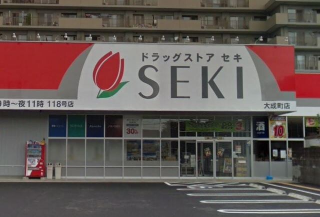 ドラッグストアセキ大成町店