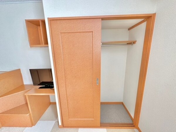 収納(絨毯の色・柄はお部屋によって異なる可能性がございます。)