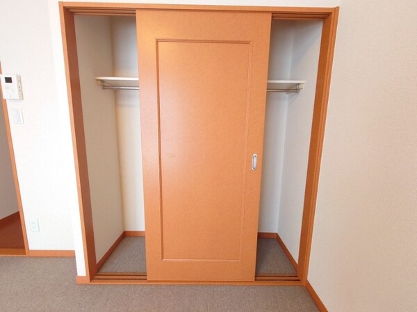 収納(1Fはフローリング、2F以上は絨毯です。)