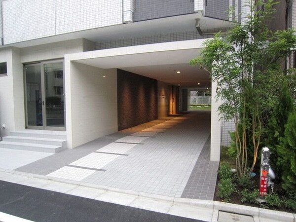 庭(植栽)