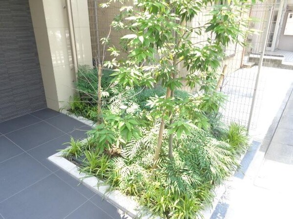 庭(植栽)