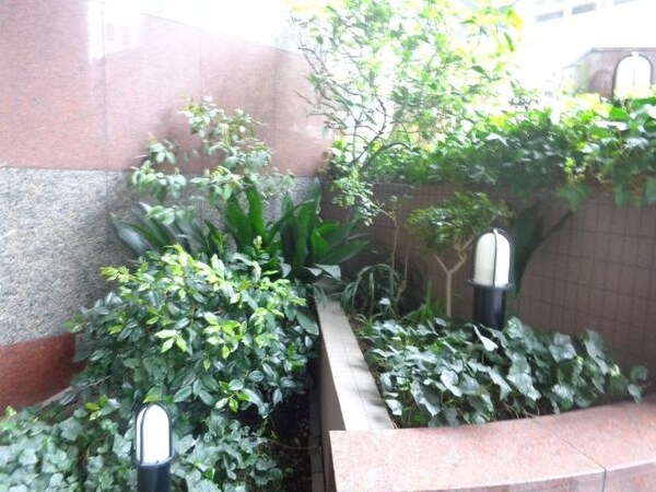 ロビー(植栽)