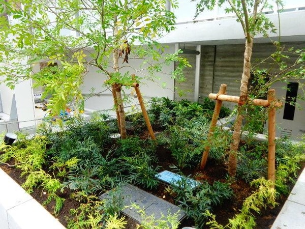 庭(植栽)