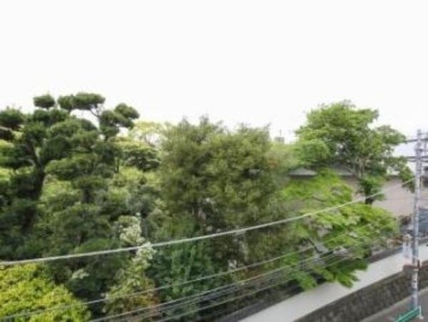 眺望(お問合せは(株)タウンハウジング東京へ)