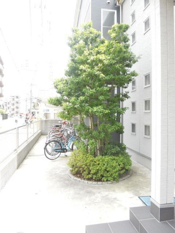 庭