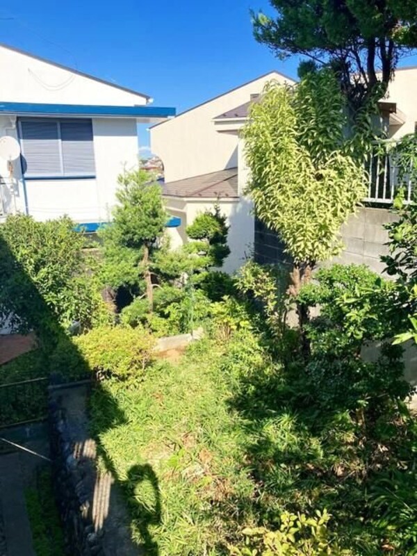 庭