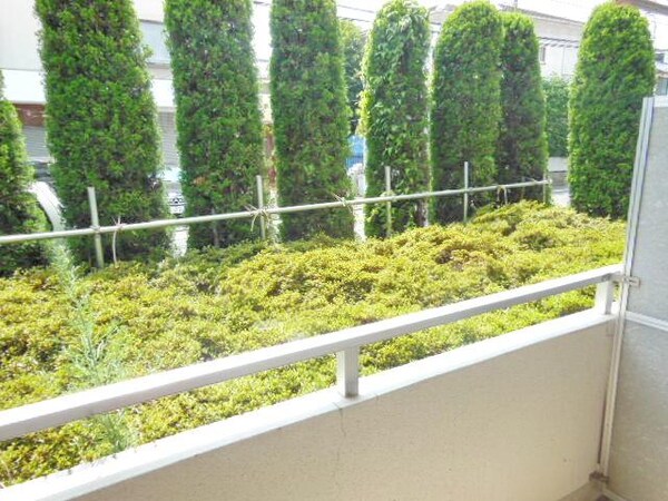 眺望(☆バルコニー☆)