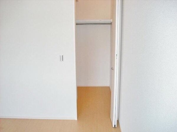 収納(広めのウォークインクローゼット)