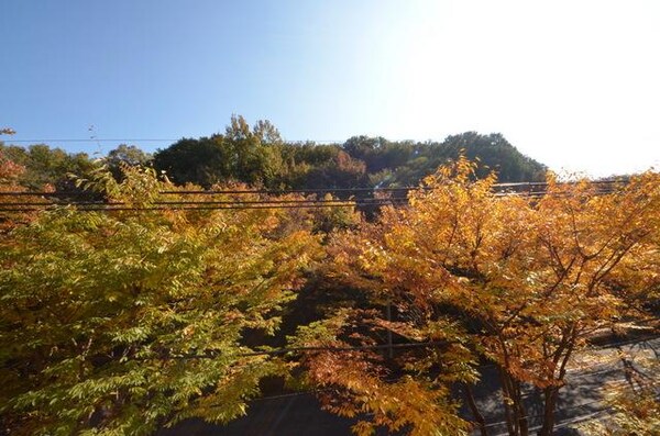 眺望(♪緑溢れる住環境！♪)