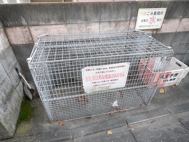 物件内観写真5　(★お部屋探しは株式会社タウンハウジング東京まで★)