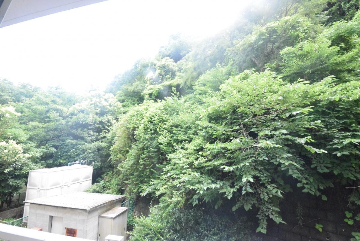 物件内観写真18　(眺望)