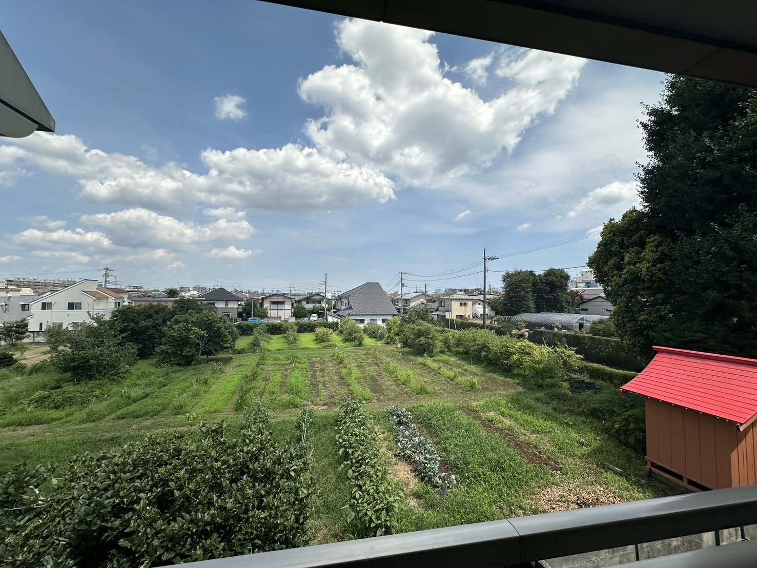 内観写真